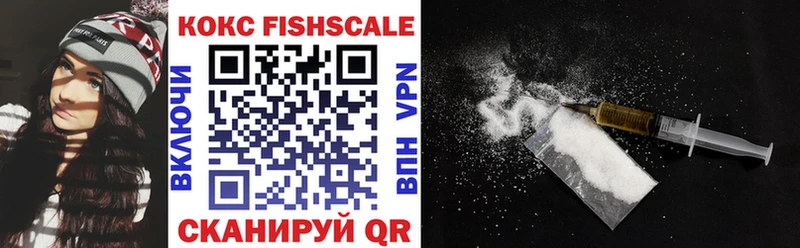 COCAIN Fish Scale  купить наркоту  Чадан 