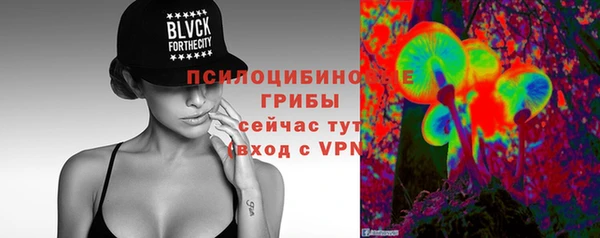 ешки Алзамай