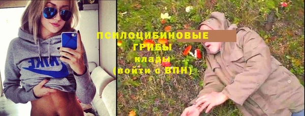 амф Алексеевка