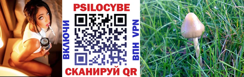 Псилоцибиновые грибы мухоморы  мега сайт  Чадан 